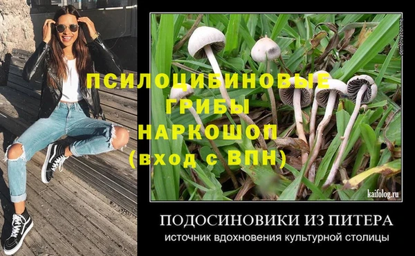 гашик Абинск