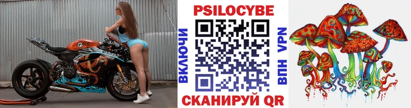 Галлюциногенные грибы Psilocybe  Канск 