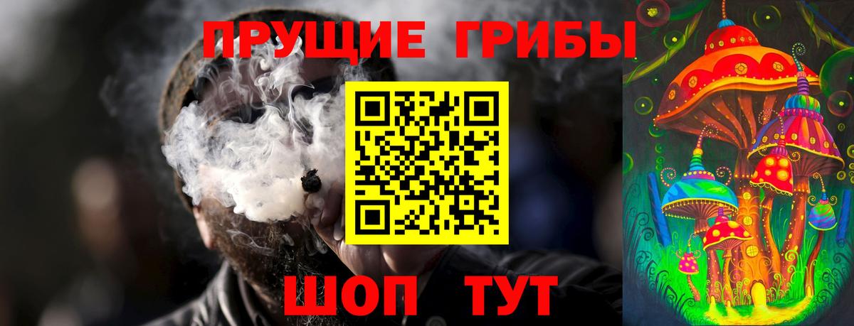 Галлюциногенные грибы Psilocybine cubensis  Вход с VPN  Галлюциногенные грибы прущие грибы  Канск 